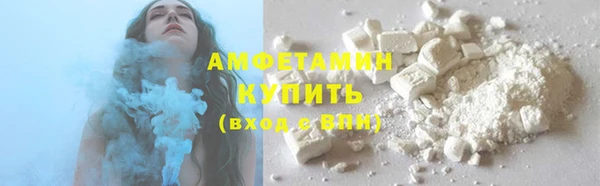 шишки Заводоуковск