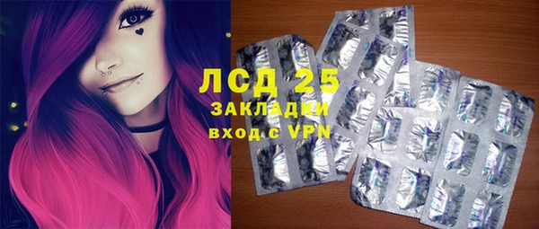 шишки Заволжск