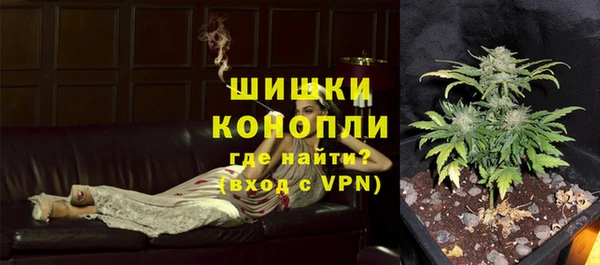 шишки Заводоуковск