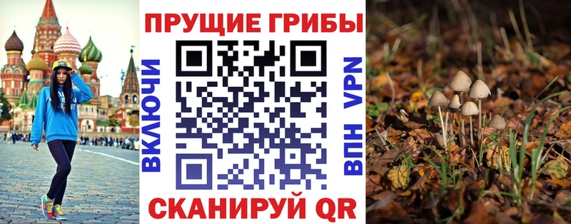 Псилоцибиновые грибы прущие грибы  Петров Вал 